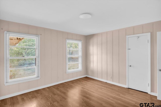 empty room featuring a wealth of natural light and light hardwood / wood-style flooring