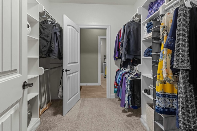 walk in closet featuring carpet