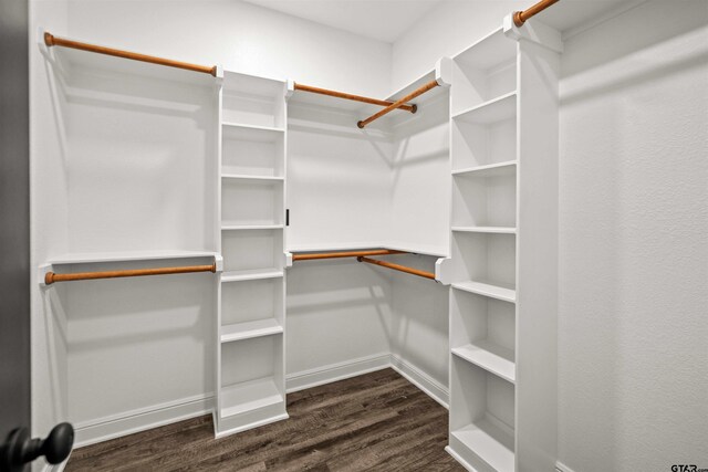 walk in closet featuring dark hardwood / wood-style flooring