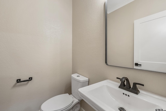 bathroom featuring sink and toilet