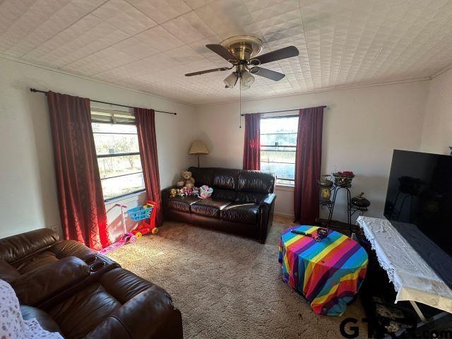 carpeted living room with a wealth of natural light and ceiling fan