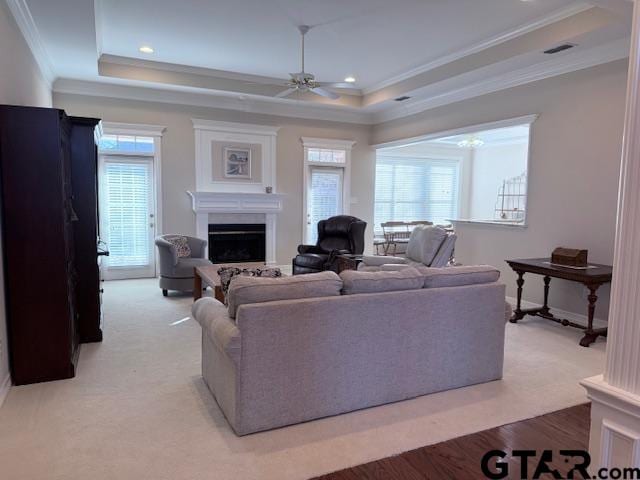 living room with ceiling fan, a raised ceiling, and a wealth of natural light