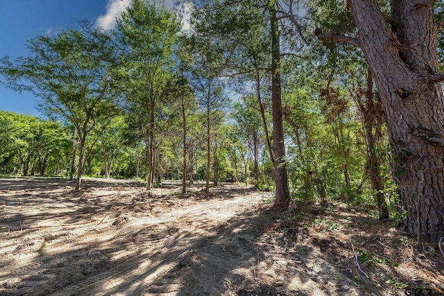 3160 N Fm 346, Bullard, TX 75757 - photo 6