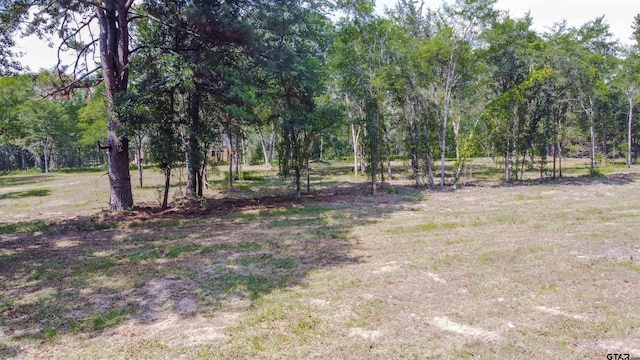 3160 N Fm 346, Bullard, TX 75757 - photo 13