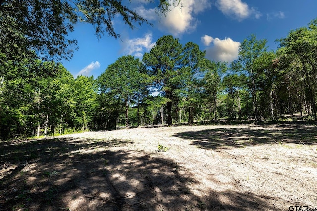 3160 N Fm 346, Bullard, TX 75757 - photo 3