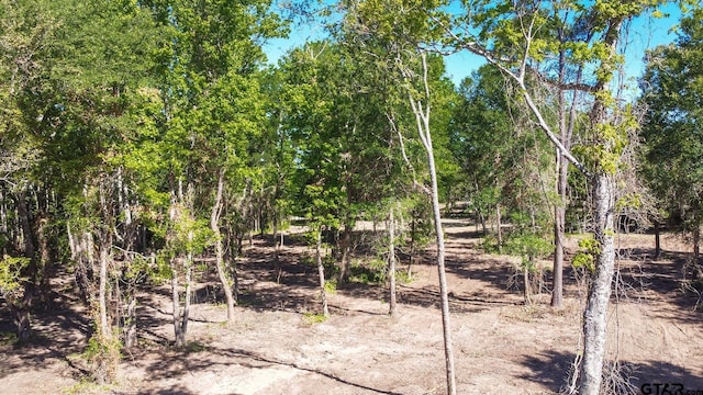 3160 N Fm 346, Bullard, TX 75757 - photo 23
