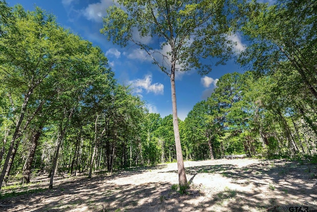 3160 N Fm 346, Bullard, TX 75757 - photo 11