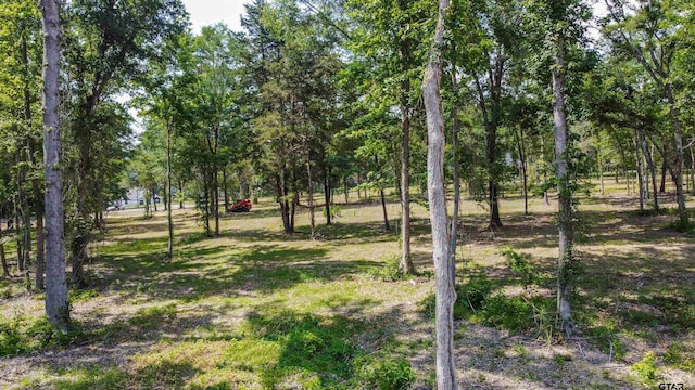3160 N Fm 346, Bullard, TX 75757 - photo 16