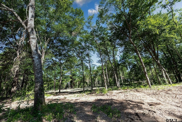 3160 N Fm 346, Bullard, TX 75757 - photo 21