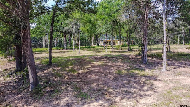3160 N Fm 346, Bullard, TX 75757 - photo 15