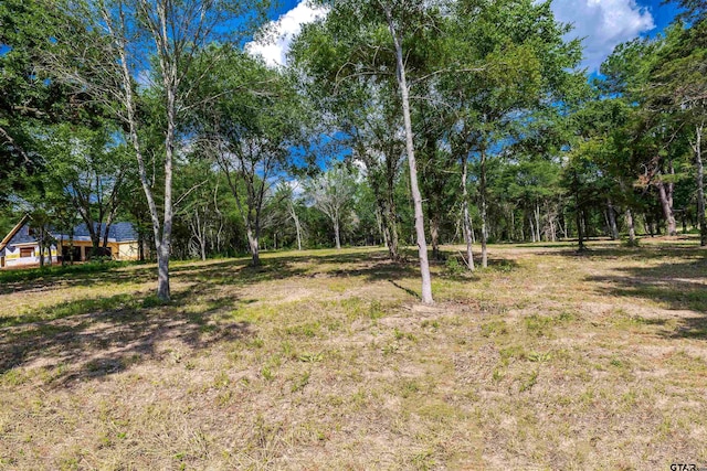 3160 N Fm 346, Bullard, TX 75757 - photo 34
