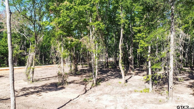3160 N Fm 346, Bullard, TX 75757 - photo 31