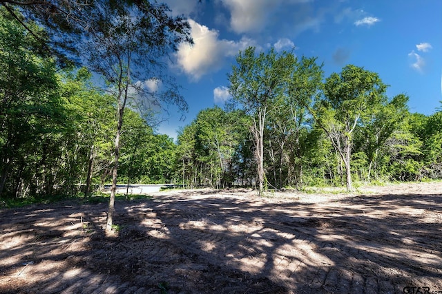 3160 N Fm 346, Bullard, TX 75757 - photo 5