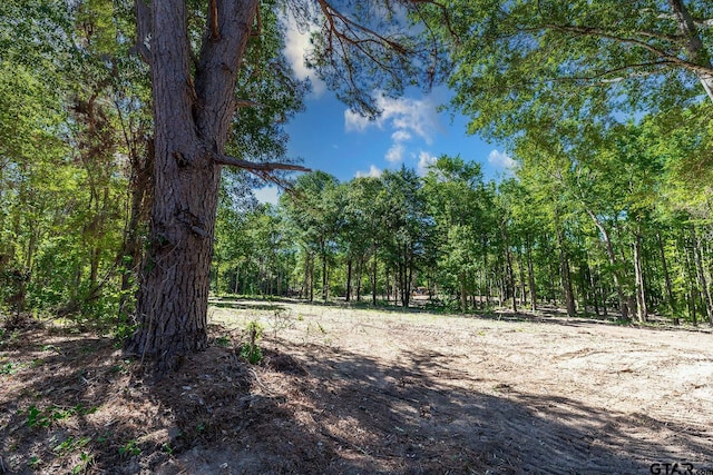 3160 N Fm 346, Bullard, TX 75757 - photo 7