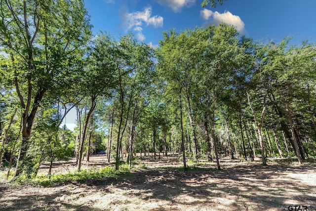 3160 N Fm 346, Bullard, TX 75757 - photo 10