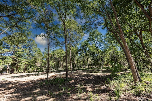 3160 N Fm 346, Bullard, TX 75757 - photo 1