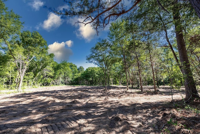 3160 N Fm 346, Bullard, TX 75757 - photo 8