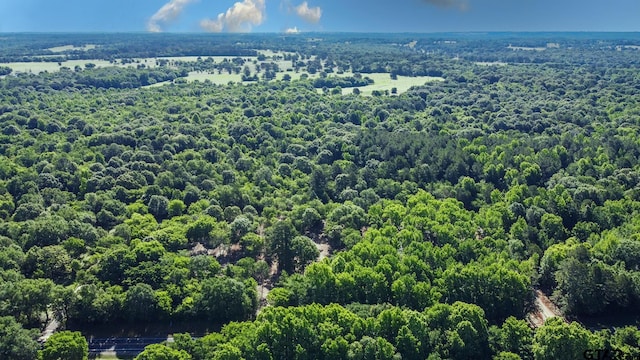 3160 N Fm 346, Bullard, TX 75757 - photo 29