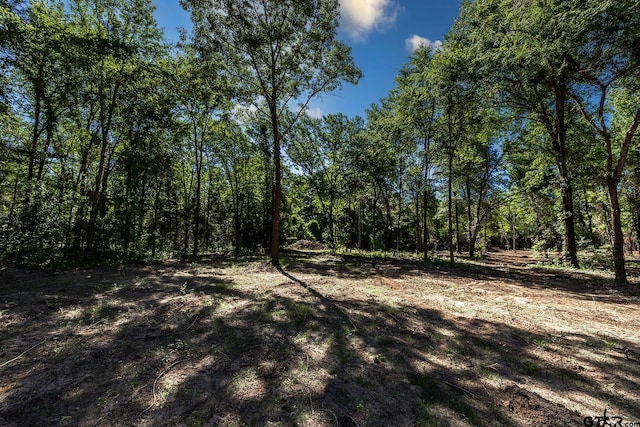3160 N Fm 346, Bullard, TX 75757 - photo 9
