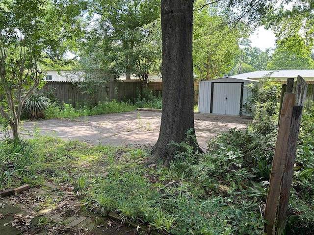 view of yard featuring a patio and a storage shed