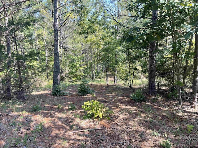 Listing photo 2 for LOT6 County Road 1150, Tyler TX 75704