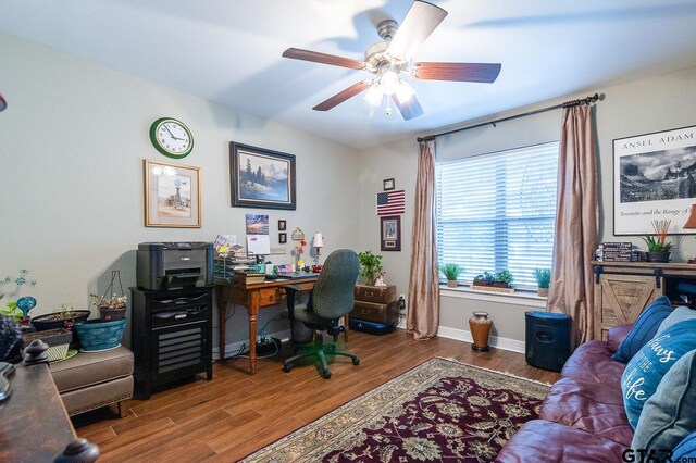 bathroom with hardwood / wood-style floors and vanity