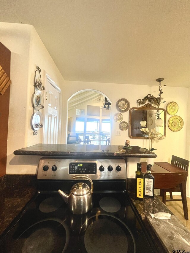 464 Forest Hills Dr, Livingston, TX 77351 - kitchen view of electric range and arched walkways