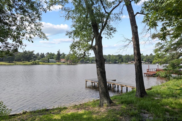 dock area with a water view