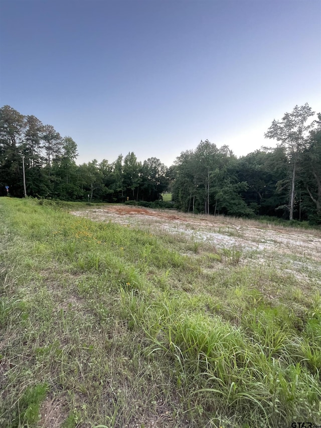 Listing photo 3 for TBD County Road 334, Tyler TX 75706