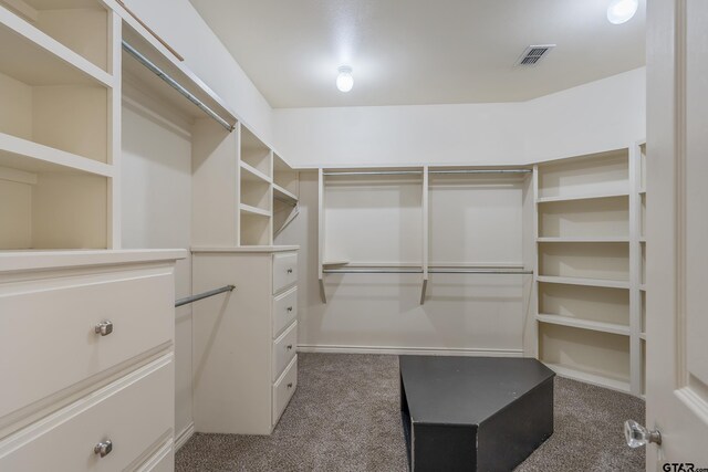 walk in closet with carpet floors