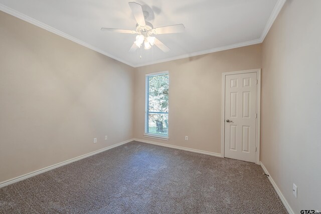 carpeted spare room with ceiling fan and ornamental molding