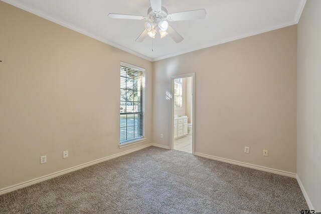 carpeted spare room featuring ceiling fan and ornamental molding