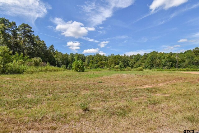 TBD Godfrey Lane, Longview, TX 75603 - photo 7