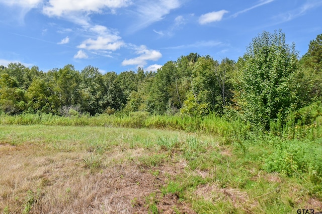 TBD Godfrey Lane, Longview, TX 75603 - photo 4