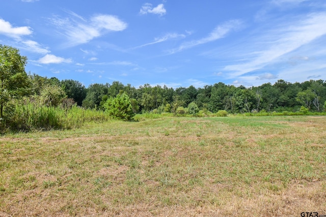 TBD Godfrey Lane, Longview, TX 75603 - photo 2