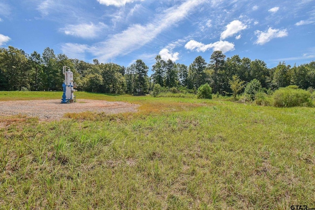TBD Godfrey Lane, Longview, TX 75603 - photo 6