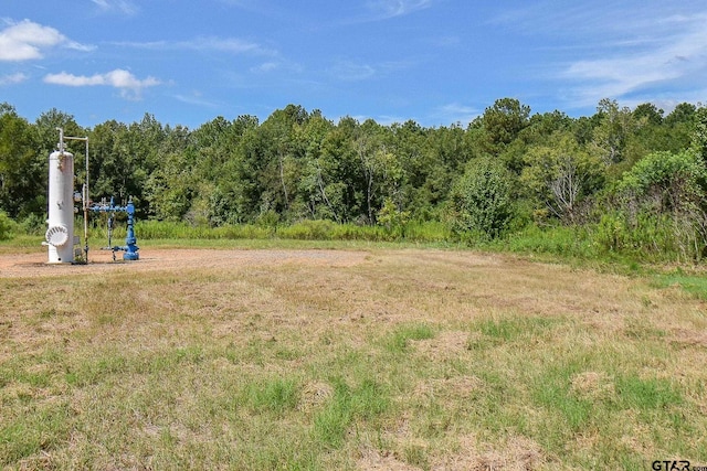 Listing photo 3 for TBD Godfrey Rd, Longview TX 75603