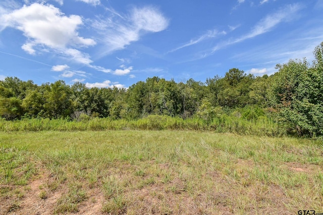 TBD Godfrey Lane, Longview, TX 75603 - photo 5