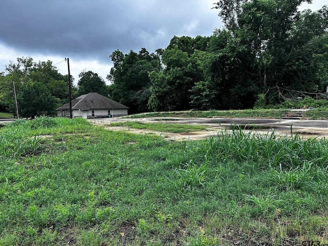 133 E Reagan St, Palestine, TX 75801 - view of yard