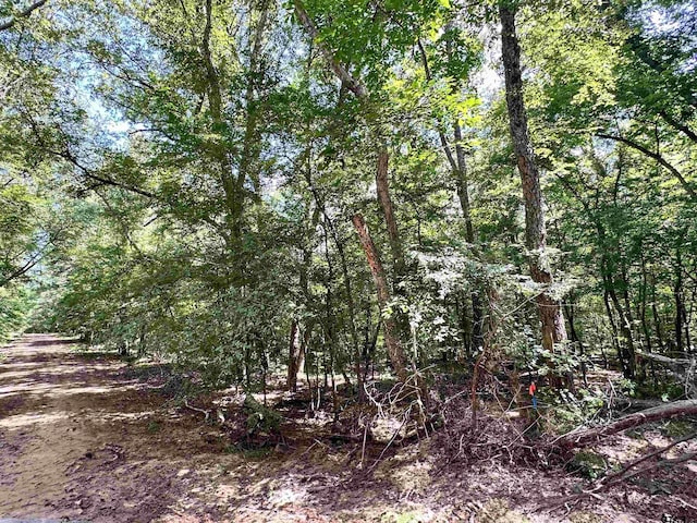 0 An County Road 3194, Frankston, TX 75763 - photo 3