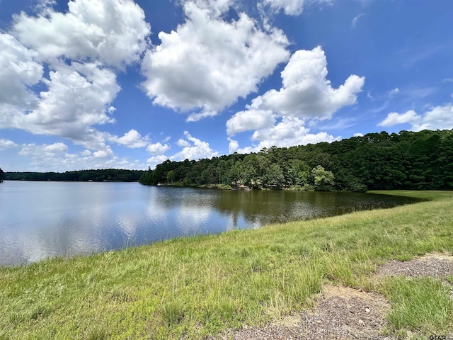 0 An County Road 3194, Frankston, TX 75763 - photo 12