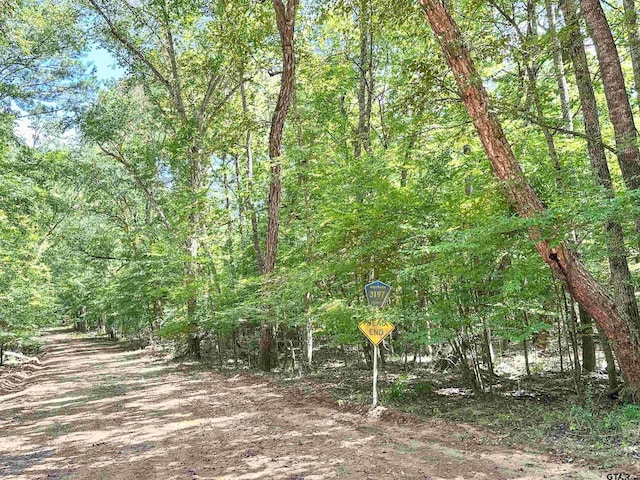 0 An County Road 3194, Frankston, TX 75763 - photo 2