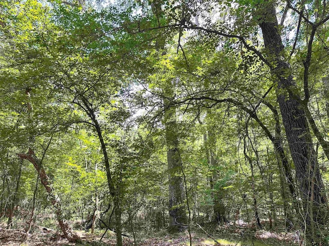 0 An County Road 3194, Frankston, TX 75763 - photo 5