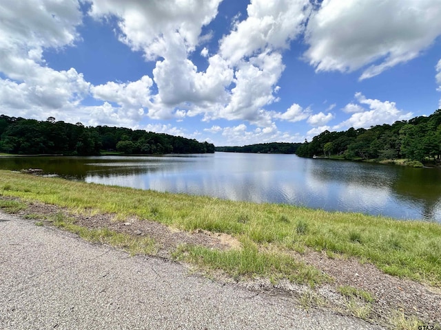 0 An County Road 3194, Frankston, TX 75763 - photo 13