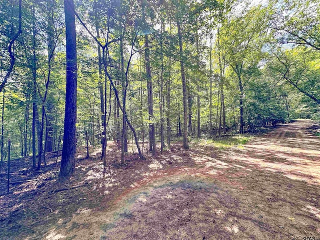 0 An County Road 3194, Frankston, TX 75763 - photo 4