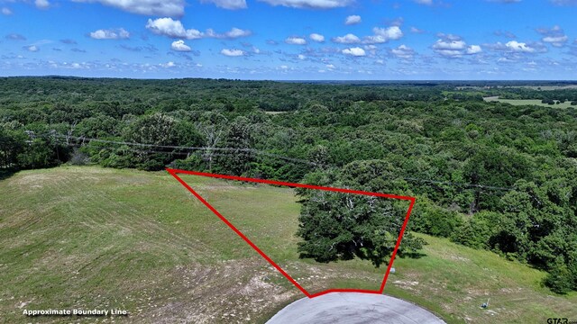 LOT262 High Point Ct, Athens, TX 75752