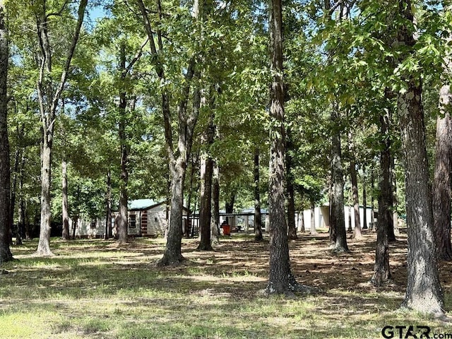 765 County Road 2378, Alba, TX 75410 - photo 3