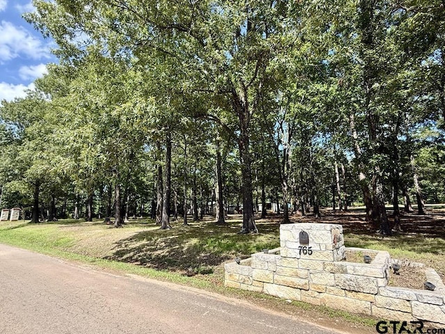 765 County Road 2378, Alba, TX 75410 - photo 23