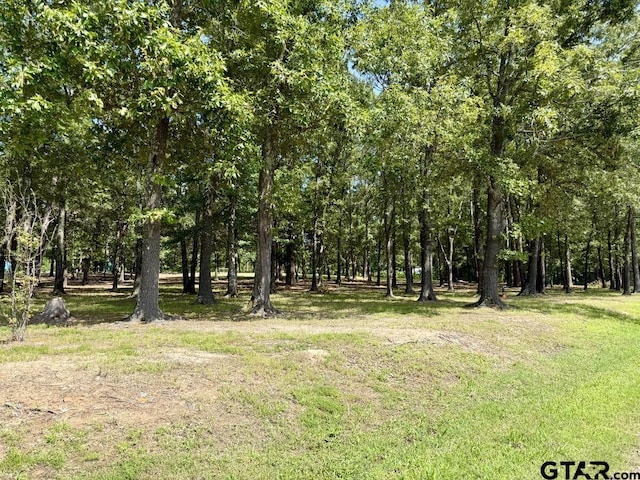 765 County Road 2378, Alba, TX 75410 - photo 22