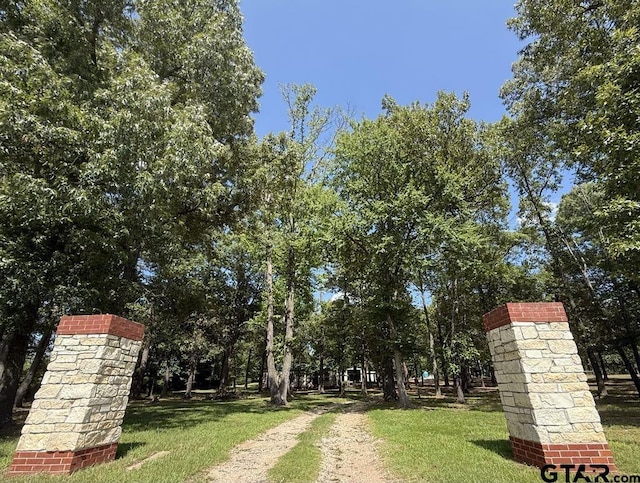 765 County Road 2378, Alba, TX 75410 - photo 2